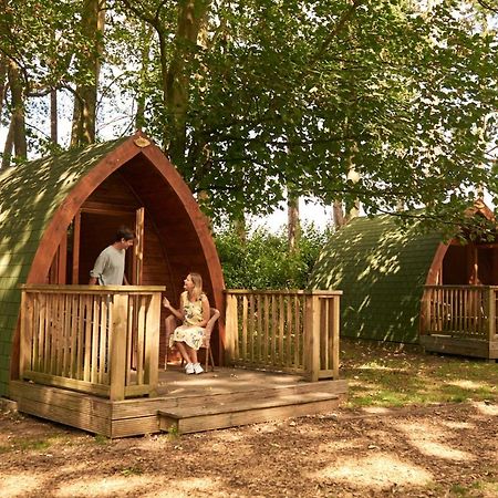 Pinewood - At Port Lympne Reserve Hythe  Bagian luar foto