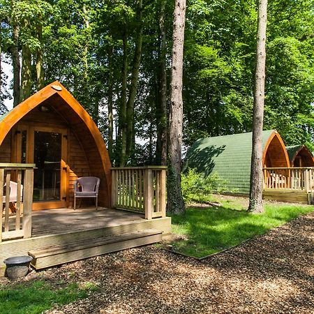 Pinewood - At Port Lympne Reserve Hythe  Bagian luar foto