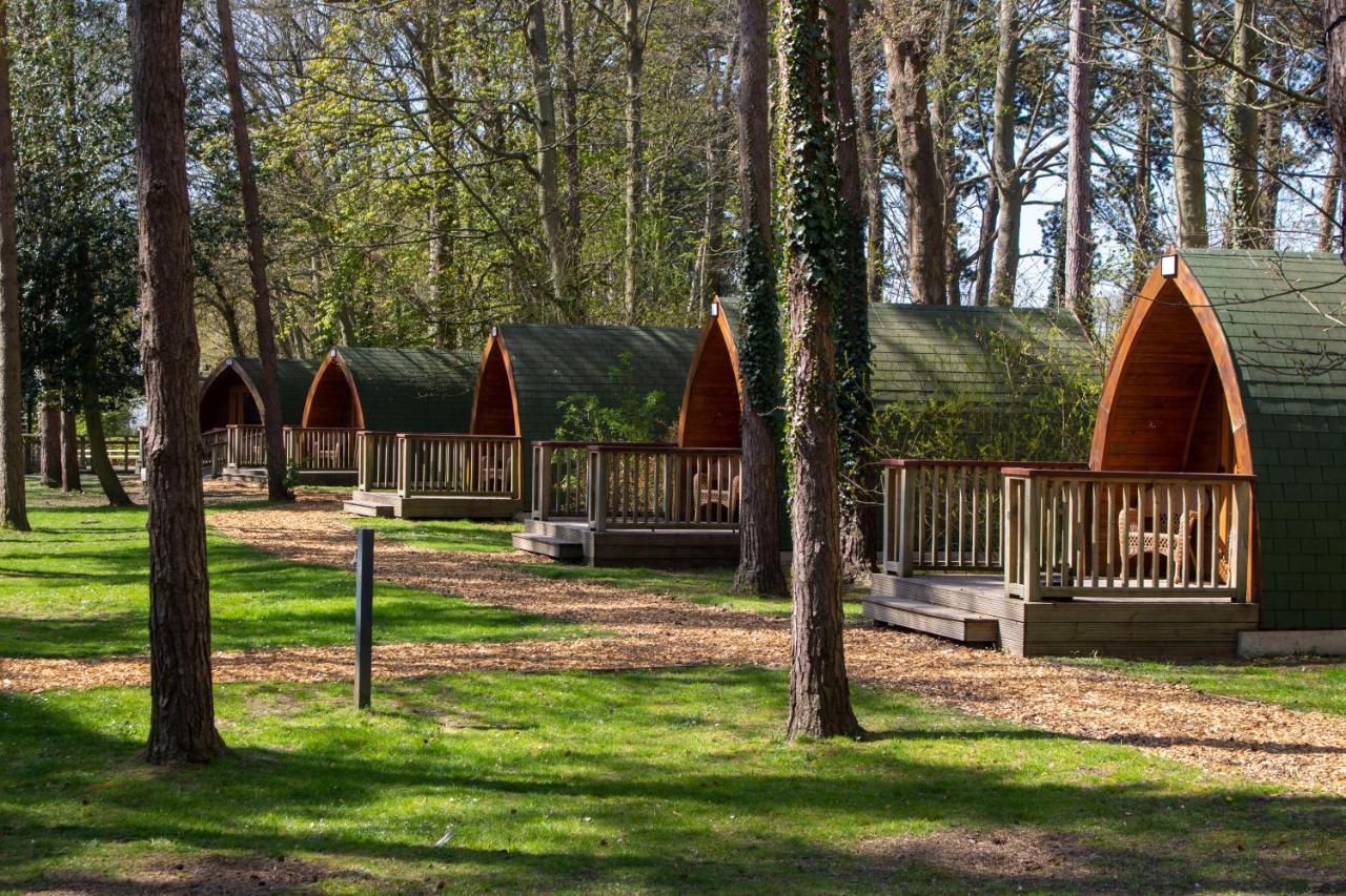 Pinewood - At Port Lympne Reserve Hythe  Bagian luar foto