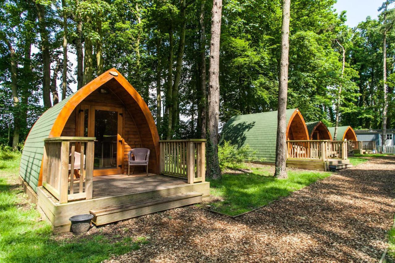 Pinewood - At Port Lympne Reserve Hythe  Bagian luar foto