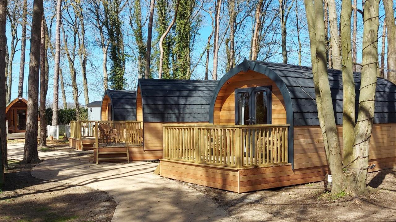 Pinewood - At Port Lympne Reserve Hythe  Bagian luar foto